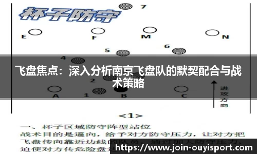 飞盘焦点：深入分析南京飞盘队的默契配合与战术策略